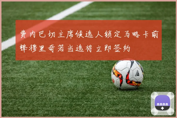 费内巴切主席候选人锁定马略卡前锋穆里奇若当选将立即签约